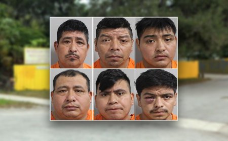 6 Guatemalans in US illegally arrested during investigation for deadly hit-and-run at trailer park