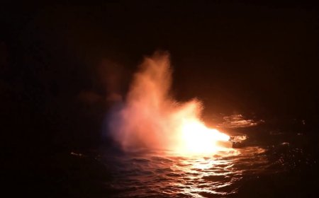 Coast Guard burns, sinks suspected 'drug boat,' apprehends 7 alleged drug smugglers: video