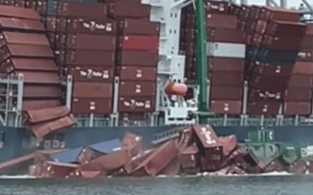 Dramatic video shows shipping containers toppling off cargo ship in California