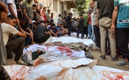 种族灭绝与资本主义：加沙遭到的并非最后一场饥荒