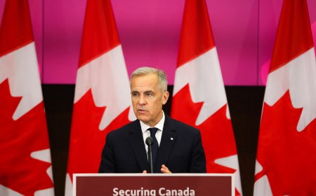 卡尼的经济计划能否成功应对关税危机？