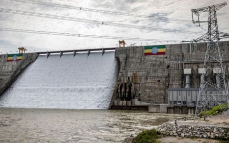 埃塞俄比亚与埃及在复兴大坝正式启用后的外交紧张升级