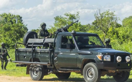 卢旺达干预四年后，莫桑比克叛乱升级