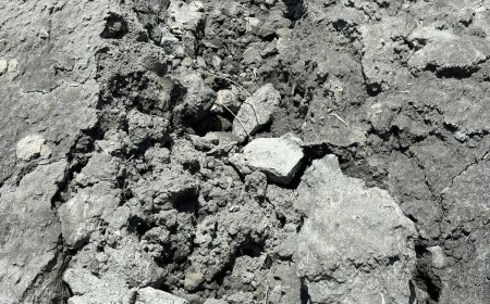 高雄「農地淪垃圾場」連環爆　嚴查嚴辦！陳其邁：全移送檢調