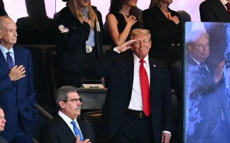Trump receives warm welcome from Yankees fans, 'USA' chants break out at stadium