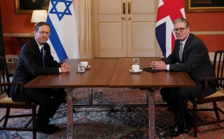 呼吁逮捕赫尔佐格：英国人以此欢迎以色列总统的访问