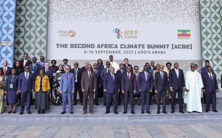 非洲寻求每年筹集500亿美元用于“气候解决方案”倡议