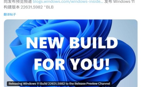 微软推出 Win11 23H2 22631.5982 发布预览版：修复中文输入法某些字符无法显示的 Bug