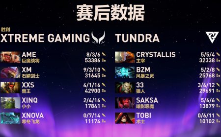 《DOTA2》TI14 中国战队 XG 晋级六强，Tidebound 掉入败者组