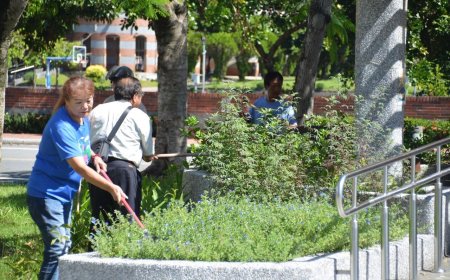 台東關山鯊魚公園驚傳毒蛇出沒　里民「打草驚草」搜尋