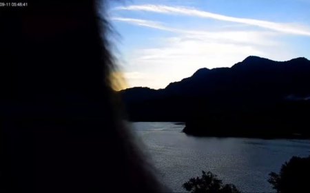 曾文水庫鏡頭君遭「猴死囡仔」巴頭　兇手留下毛茸茸犯罪證據