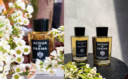 宛如初戀般純潔青澀！超繁複「冷脂吸法」打造時髦白花香水