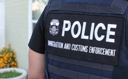 Suspect fatally shot after allegedly driving vehicle into ICE officers during attempted vehicle stop