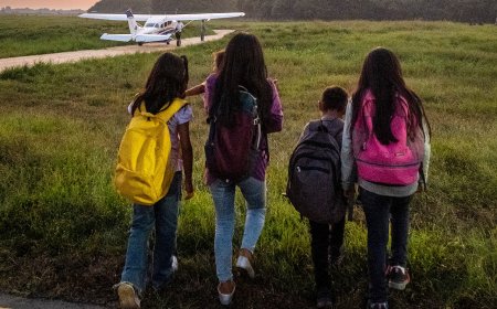 Oscar-Winner Chai Vasarhelyi Details Making Nat Geo Doc ‘Lost in the Jungle’: ‘The Most Complicated Film I’ve Ever Made in Terms of Access’