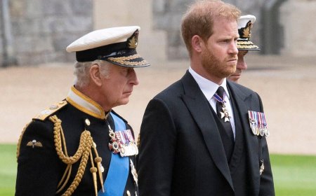 Prince Harry Reportedly Has 'Regrets' As He Hopes To 'Reset' Relatonship With Royal Family And British Public