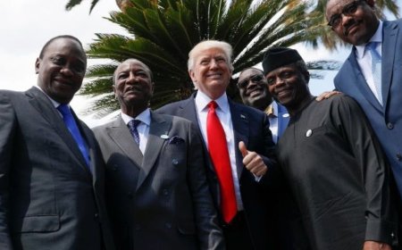 特朗普重塑联盟：非洲在新格局中身处何位？