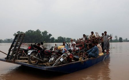 气候变化正在重塑全球迁徙版图与模式