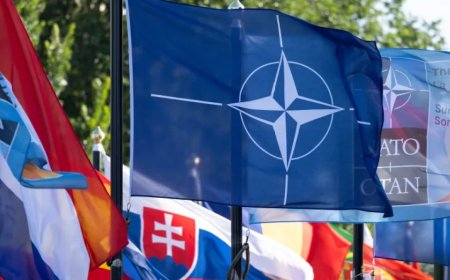 北约第四条款和第五条款：从磋商到联合防御