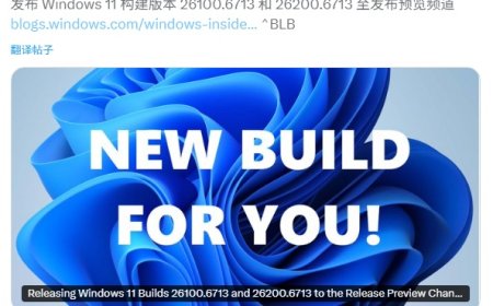 微软推送 Win11 RP 26100.5061 与 26200.6713 发布预览版更新：优化文件资源管理器，引入表格识别、AI 操作及新 Emoji 功能