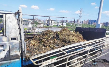 載滿樹枝枯葉！小貨車國1高架突起火　恐怖黑煙狂竄驚險畫面曝