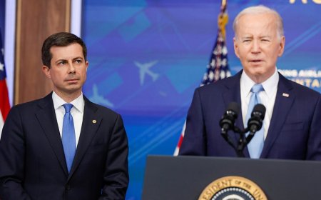 Former Biden cabinet member admits president shouldn't have sought re-election in 2024