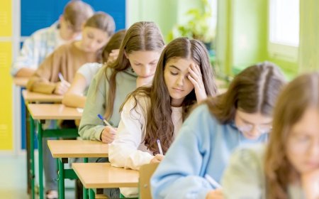 Preliminary data shows Chicago Public Schools enrollment falls to historic low: report