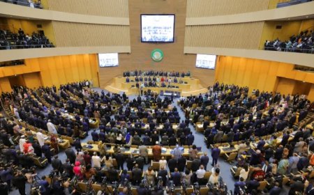 非洲联盟是统一的声音还是一个软弱的机构？