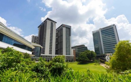 全球最难申请的十所大学：学费、就业率和投资回报率