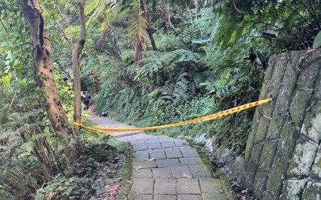 快訊／象山腐屍身分曝！眾多登山客目擊嚇壞　警封鎖現場查死因