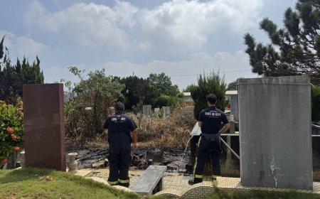 鬼月驚魂！台中公墓大片雜草突起火　警消合力撲滅