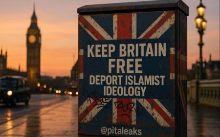 馬斯克隔海參加英國極右派活動　喊「英國必須更換政府」