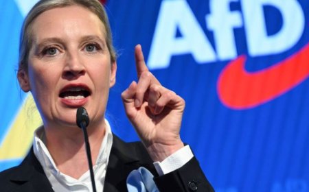 默茨领导的基督教民主联盟在德国关键州赢得选举，德国选择党支持率激增