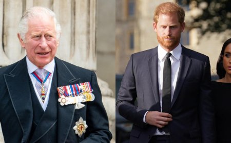 Prince Harry's 'Serious Error' Resurfaces As The Duke Reveals His Dad, King Charles, Is His New 'Focus'