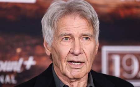 Harrison Ford Walks While His Fans Are In Disbelieve After Emmys Snub