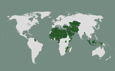 伊斯兰合作组织的57个成员国是哪些？
