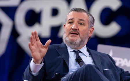 Ted Cruz says hate speech 'absolutely' protected by First Amendment following Charlie Kirk's assassination