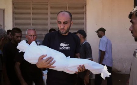 非人化：以色列如何能够在加沙实施种族灭绝