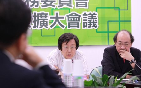 民進黨提前備戰2026年　邱義仁盼縣市首長農曆年前完成提名