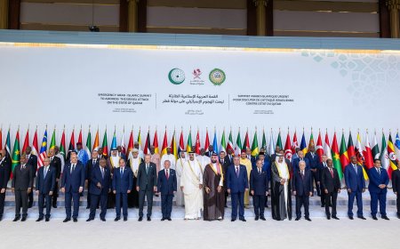 多哈阿拉伯-伊斯兰峰会：等待圆满成功