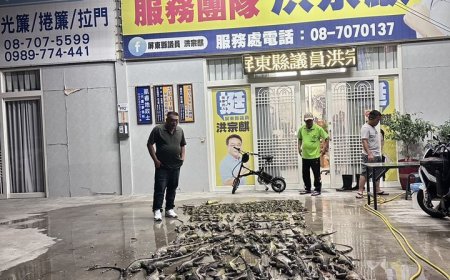 綠鬣蜥噴發！集體衝紅豆田吃Buffet　1夜逮140隻屏東農民崩潰　