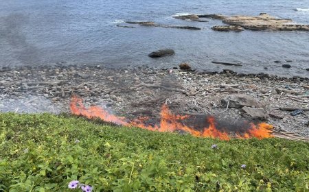 快訊／台2線員山子分洪道出口起火　漂流木狂燒濃煙竄天急灌救