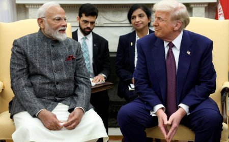 美国以涉嫌芬太尼指控为由撤销印度高管签证