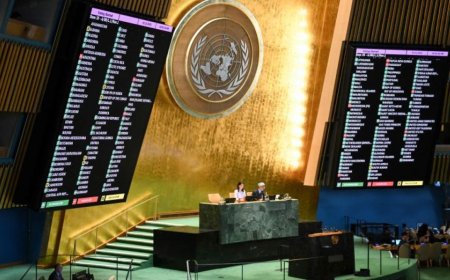 联合国大会：就国际问题进行讨论的全球性平台