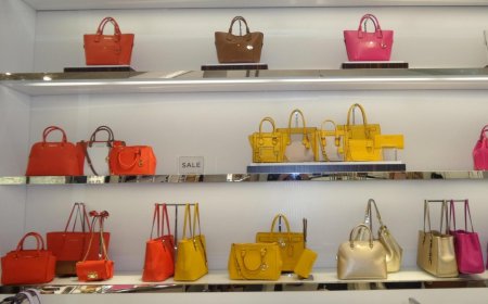 網紅賣美食賺億元、轉手精品包　國稅局抓逃稅手法大公開