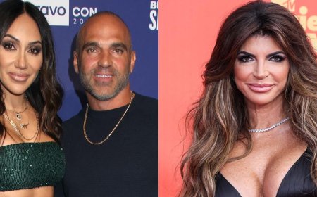 Teresa Giudice Slams Belief She's Only Reconciling With Brother Joe Gorga For Money: 'I'm Not Desperate'