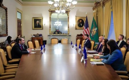 阿萨德·希巴尼访问华盛顿的希望与障碍