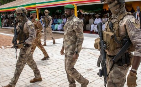 法国冻结与马里安全合作并驱逐两名外交官