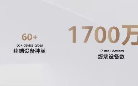华为：鸿蒙 HarmonyOS 5 终端数量突破 1700 万