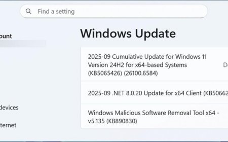 微软承认 Win11 九月累积更新导致无法播放 DRM / HDCP 视频