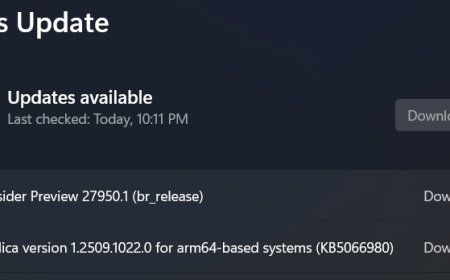微软推 Win11 Canary 27950 预览版：撤回更名“高级”设置，修复屏幕闪烁问题